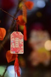 bí quyết 8Day